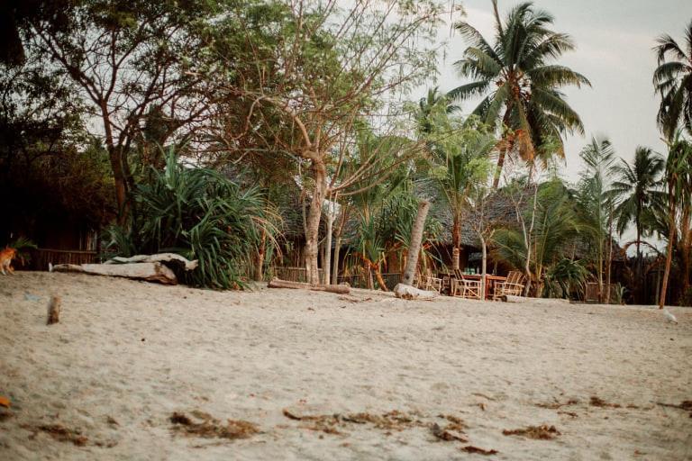 Вілла Ushongo Beach Bandas Pangani Екстер'єр фото