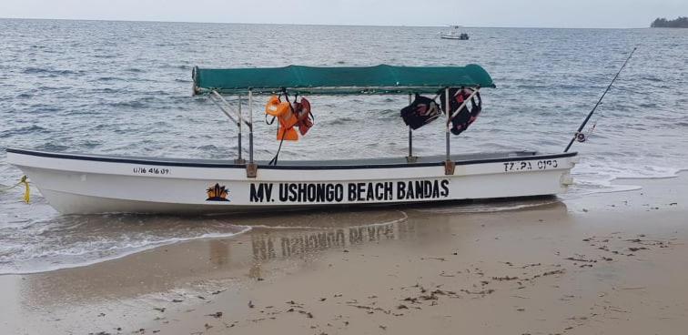 Ushongo Beach Bandas Pangani Екстер'єр фото