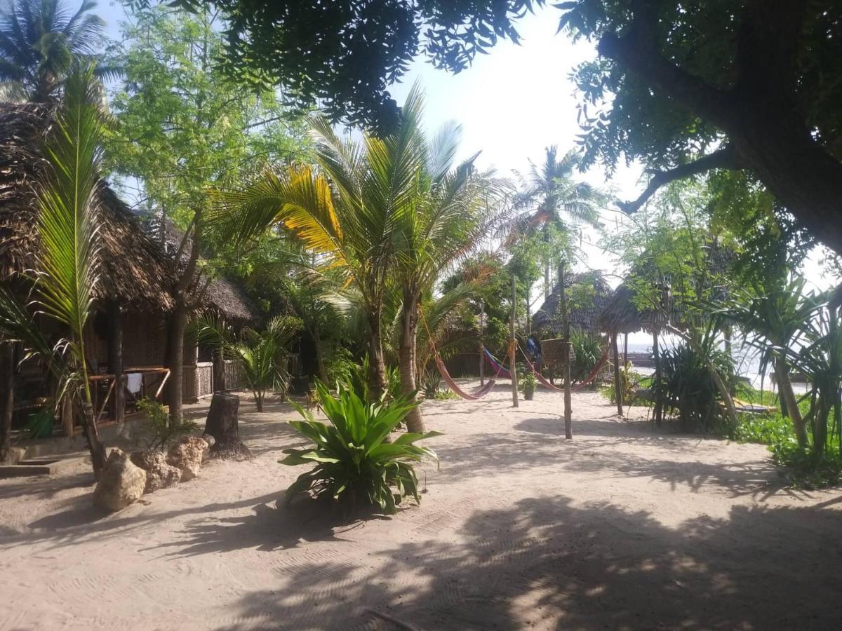 Ushongo Beach Bandas Pangani Екстер'єр фото